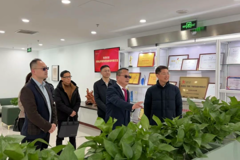 政企同心谋发展！马鞍山市领导莅临格林斯达科技集团总部考察交流